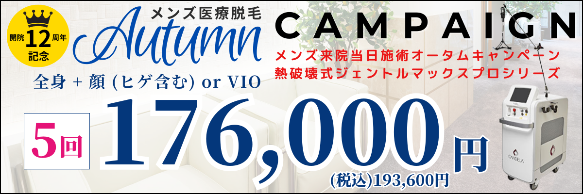 美容皮膚科アイエスクリニック メンズ医療脱毛 熱破壊式が全身+顔 or VIOで5回176,000円(税込193,600円)