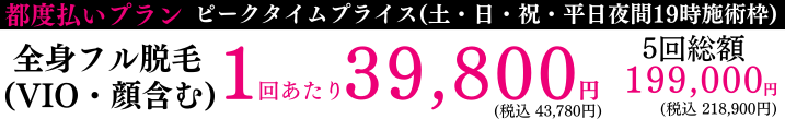 全身フル脱毛（VIO・顔含む）ジェントルマックスプロ プロプラス 都度払い １回あたり 34,800円(税込38,280) 5回総額 174,000円(税込 191,400円)